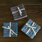 Central Asia Coasters